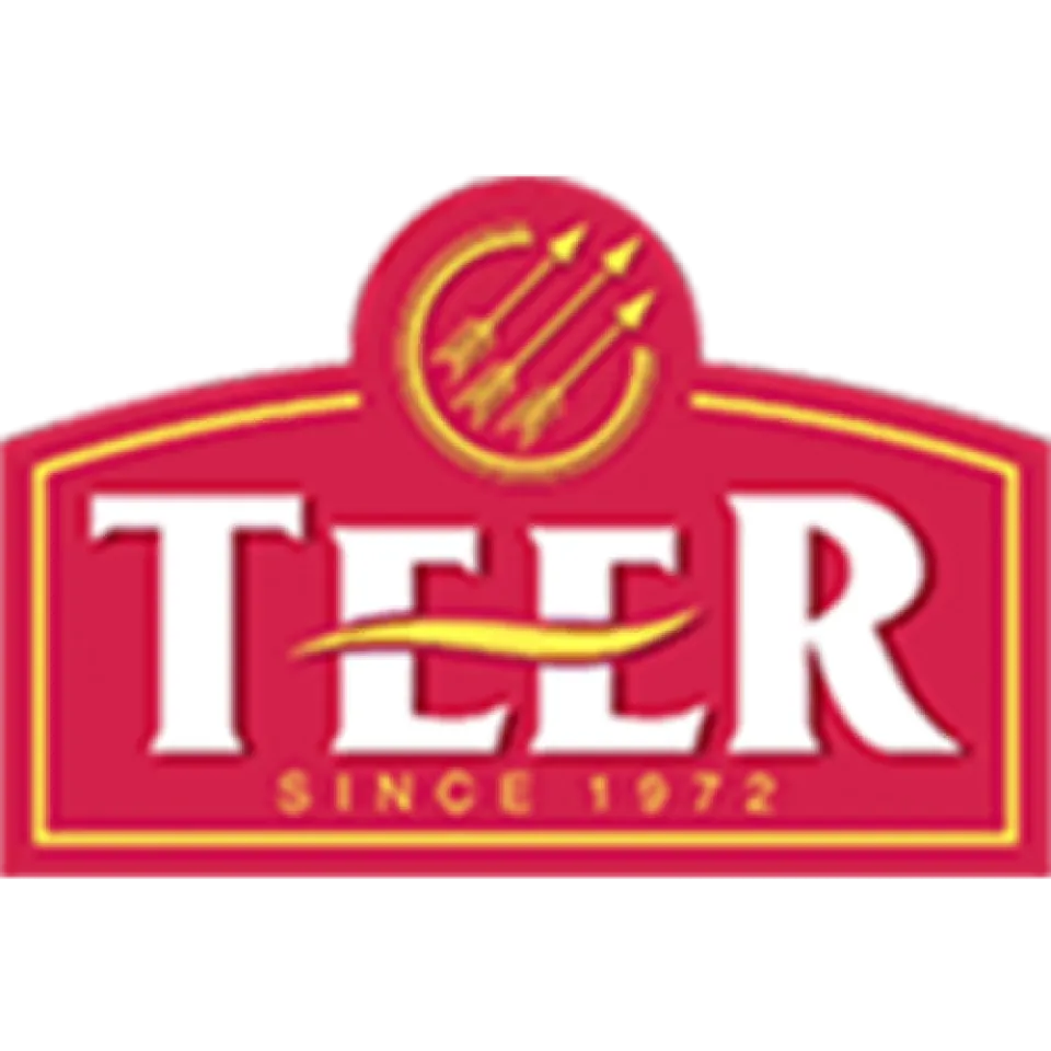 Teer logo